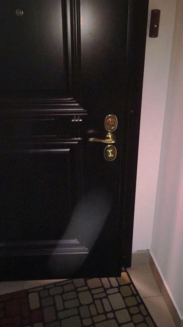 Входная дверь, моноблок Mottura (Моттура) и личинка Cisa Asics (Чиза Асикс), дверная ручка Hoppe (Хоппе), врезная броня Cisa (Чиза)